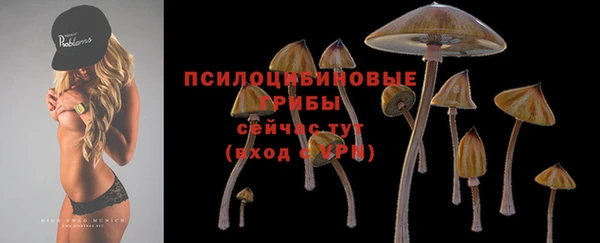 кокаин премиум Пересвет