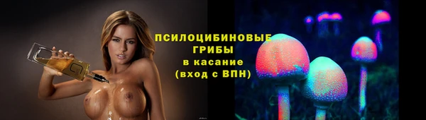apvp Переславль-Залесский