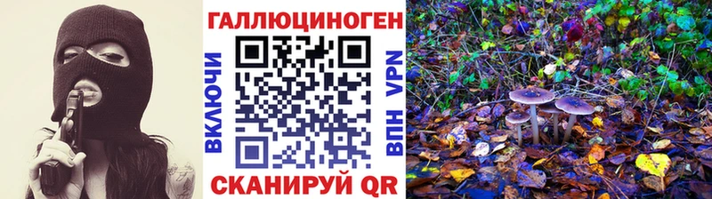 наркошоп  Армянск  Псилоцибиновые грибы Psilocybe 
